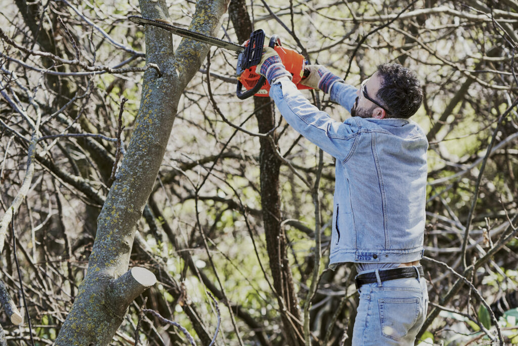 A boy with safety goggles and a chainsaw trims a tree in the forest.